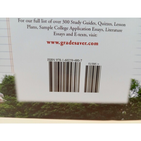 GRADESAVER (TM) LESSON PLANS: THE COUNT OF MONTE CRISTO By Katerina Manoff NEW - Picture 3 of 7